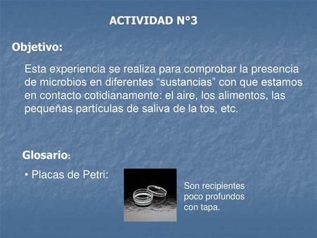 ACTIVIDAD N°3 Objetivo: