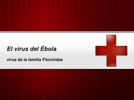 virus de la familia Filoviridae