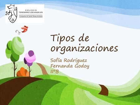Tipos de organizaciones