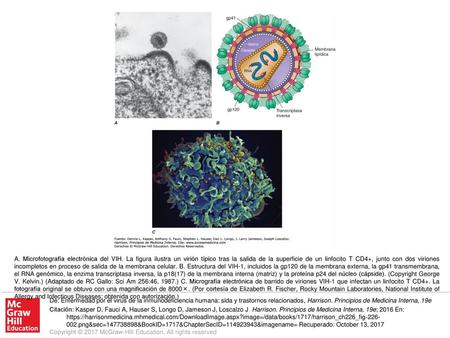 A. Microfotografía electrónica del VIH