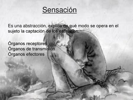 Sensación Es una abstracción, explica de qué modo se opera en el sujeto la captación de los estímulos. Órganos receptores Órganos de transmisión Órganos.