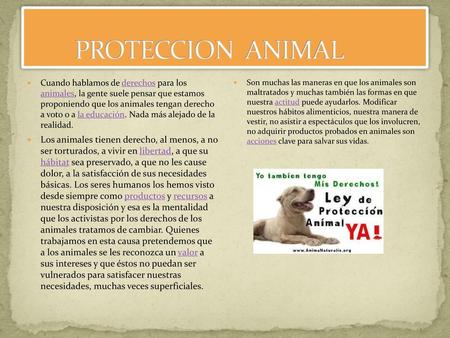 PROTECCION ANIMAL Cuando hablamos de derechos para los animales, la gente suele pensar que estamos proponiendo que los animales tengan derecho a voto.