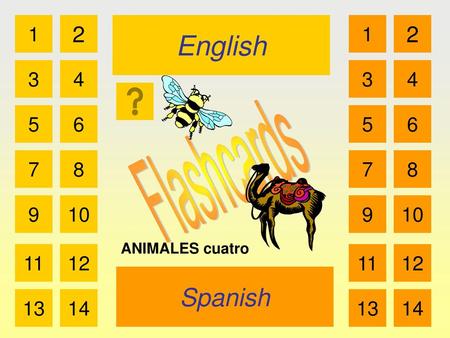 English Spanish 2 2 Flashcards