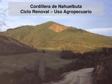 Cordillera de Nahuelbuta Ciclo Renoval – Uso Agropecuario