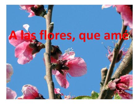 A las flores, que amé.