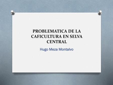PROBLEMATICA DE LA CAFICULTURA EN SELVA CENTRAL
