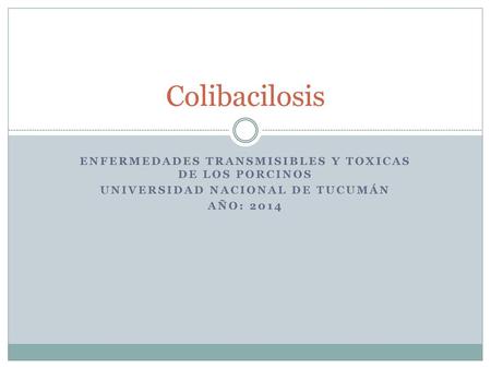 Colibacilosis Enfermedades Transmisibles y Toxicas de los Porcinos