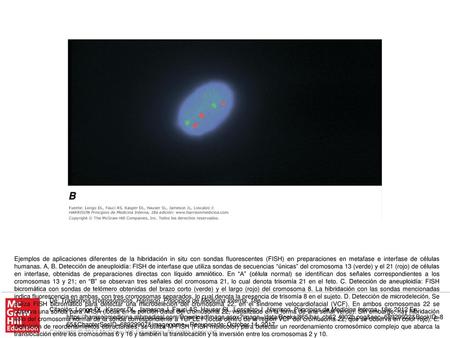 Ejemplos de aplicaciones diferentes de la hibridación in situ con sondas fluorescentes (FISH) en preparaciones en metafase e interfase de células humanas.