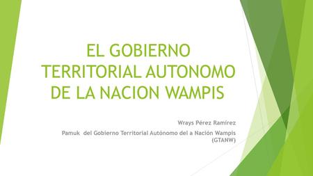 EL GOBIERNO TERRITORIAL AUTONOMO DE LA NACION WAMPIS