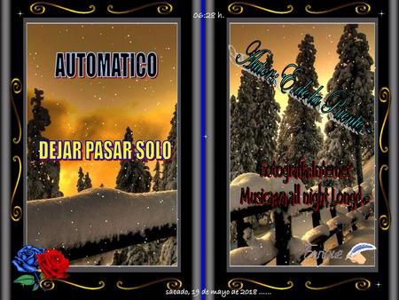 Musica:va all night Longd.-