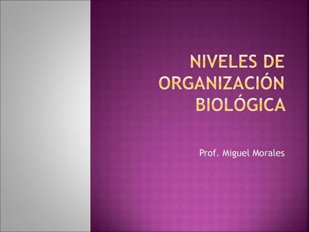 Niveles de organización biológica