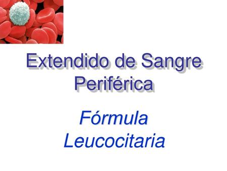 Extendido de Sangre Periférica