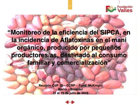 Reunión CdP 12 – CCRP – Fund. McKnight
