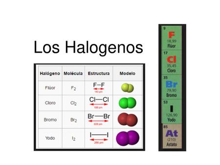Los Halogenos.