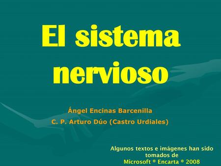 El sistema nervioso Ángel Encinas Barcenilla