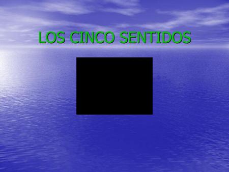 LOS CINCO SENTIDOS.
