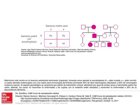 Matrimonio más común en la herencia autosómica dominante (izquierda), tomando como ejemplo la acondroplasia (A = alelo mutado, a = alelo normal): un padre.