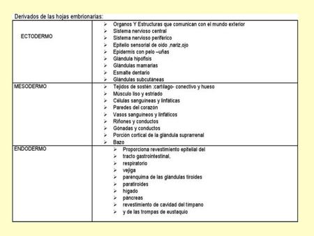 Modelos de Diferenciación Celular Conocen que durante el desarrollo se establece primero un esquema que define las principales regiones del cuerpo.