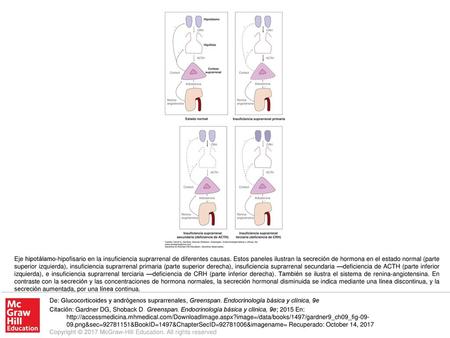 Eje hipotálamo-hipofisario en la insuficiencia suprarrenal de diferentes causas. Estos paneles ilustran la secreción de hormona en el estado normal (parte.