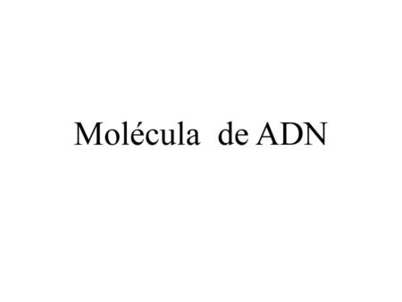 Molécula de ADN.