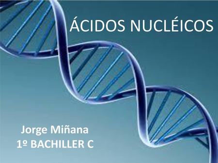 ÁCIDOS NUCLÉICOS Jorge Miñana 1º BACHILLER C.