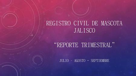 REGISTRO CIVIL DE MASCOTA JALISCO “REPORTE TRIMESTRAL”