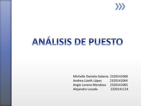 ANÁLISIS DE PUESTO Michelle Daniela Galarza