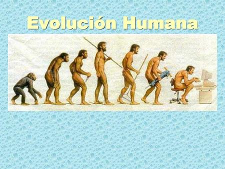 Evolución Humana.