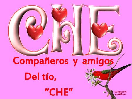 Compañeros y amigos Del tío, ”CHE”