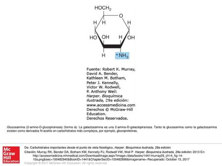 Glucosamina (2-amino-D-glucopiranosa) (forma α)