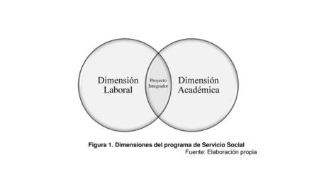 Figura 1. Dimensiones del programa de Servicio Social