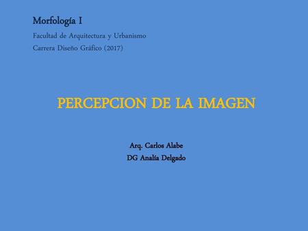 PERCEPCION DE LA IMAGEN