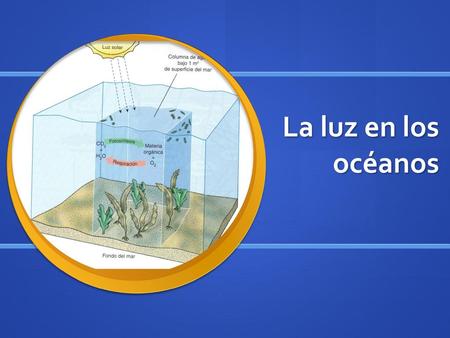 La luz en los océanos.