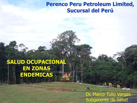 Perenco Peru Petroleum Limited, Sucursal del Perú