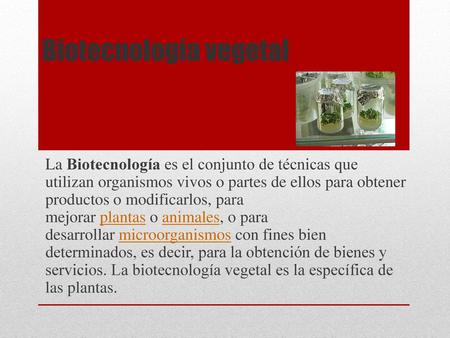 Biotecnología vegetal