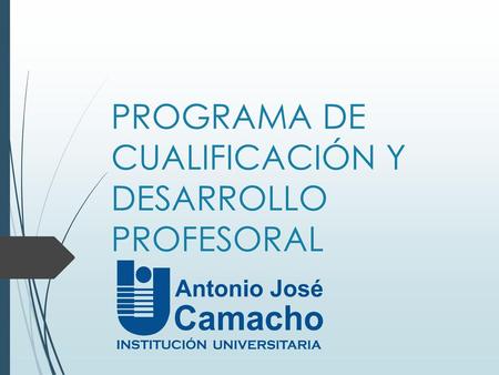 PROGRAMA DE CUALIFICACIÓN Y DESARROLLO PROFESORAL