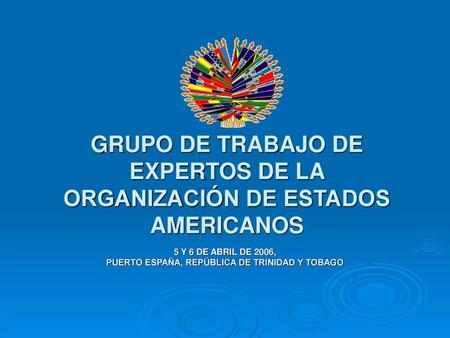 GRUPO DE TRABAJO DE EXPERTOS DE LA ORGANIZACIÓN DE ESTADOS AMERICANOS