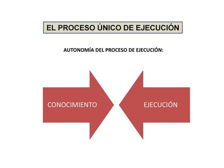 EL PROCESO ÚNICO DE EJECUCIÓN