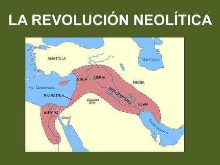 LA REVOLUCIÓN NEOLÍTICA