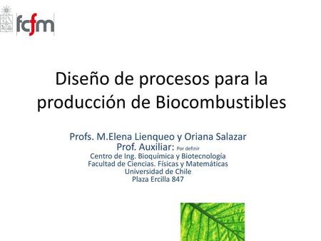 Diseño de procesos para la producción de Biocombustibles
