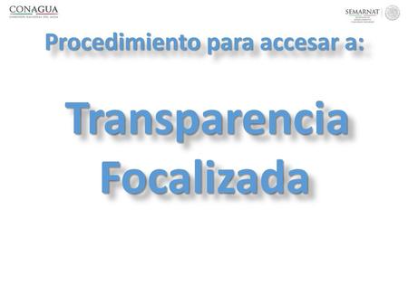 Procedimiento para accesar a: Transparencia Focalizada