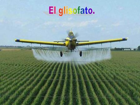 El glisofato..