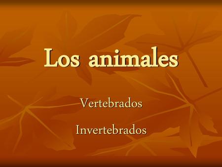 Vertebrados Invertebrados