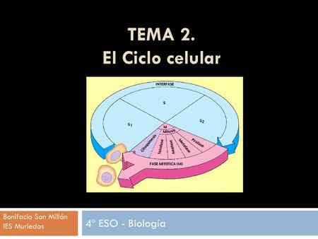 TEMA 2. El Ciclo celular 4º ESO - Biología Bonifacio San Millán