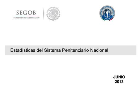 Estadísticas del Sistema Penitenciario Nacional