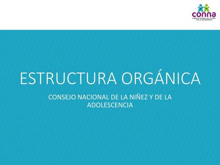 CONSEJO NACIONAL DE LA NIÑEZ Y DE LA ADOLESCENCIA
