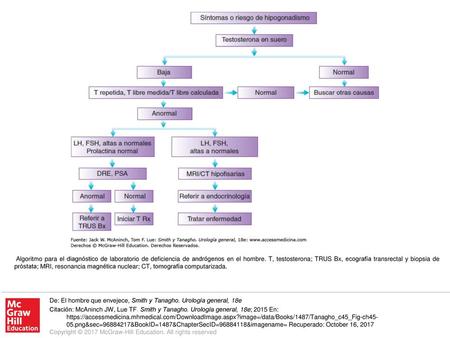 Algoritmo para el diagnóstico de laboratorio de deficiencia de andrógenos en el hombre. T, testosterona; TRUS Bx, ecografía transrectal y biopsia de próstata;