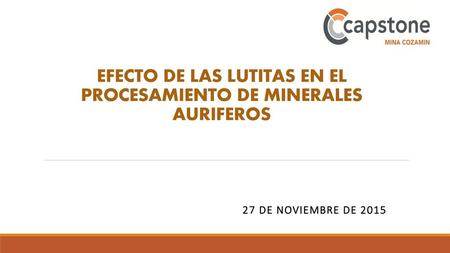 EFECTO DE LAS LUTITAS EN EL PROCESAMIENTO DE MINERALES AURIFEROS