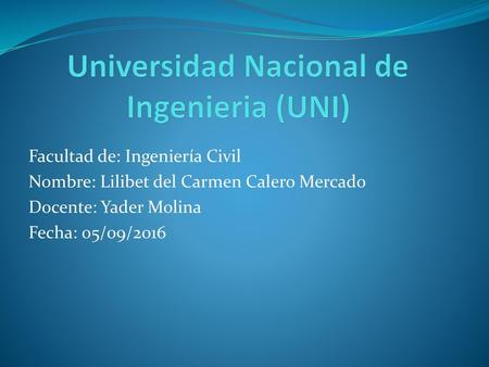 Universidad Nacional de Ingenieria (UNI)