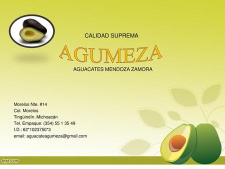 AGUACATES MENDOZA ZAMORA